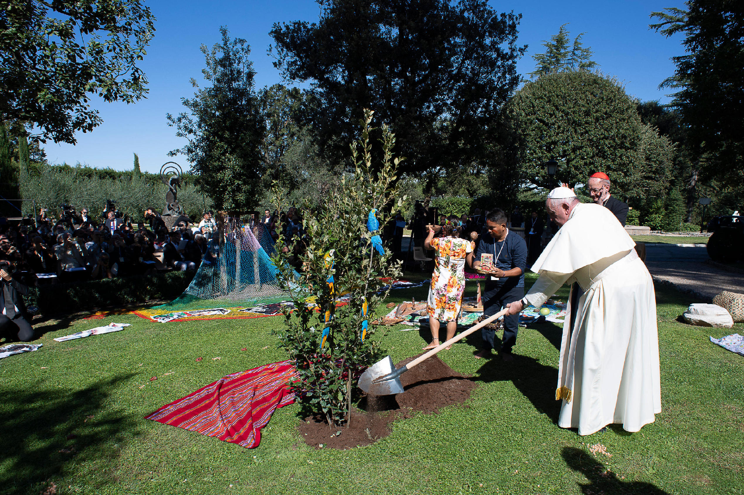 Francis planting tree.jpg