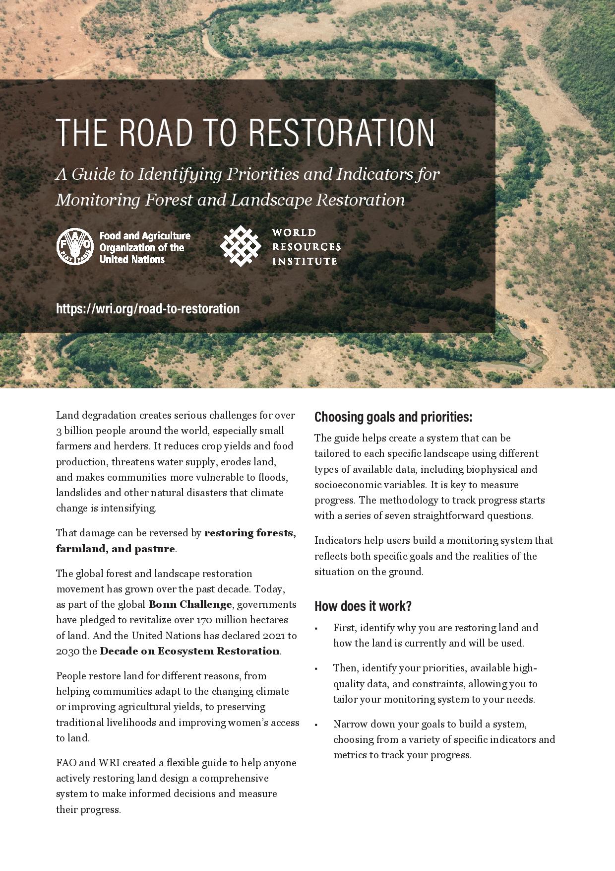 road-to-restoration-2-pager-en-page-001.jpg